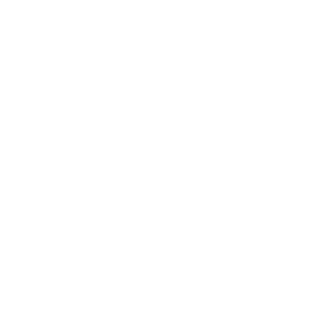 logo transports fockedey